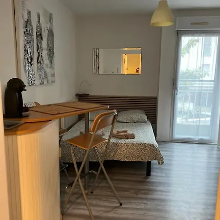 Le Cocoon Vian Appartement Tours